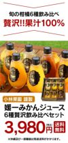 媛一みかんジュース6種贅沢飲み比べセット