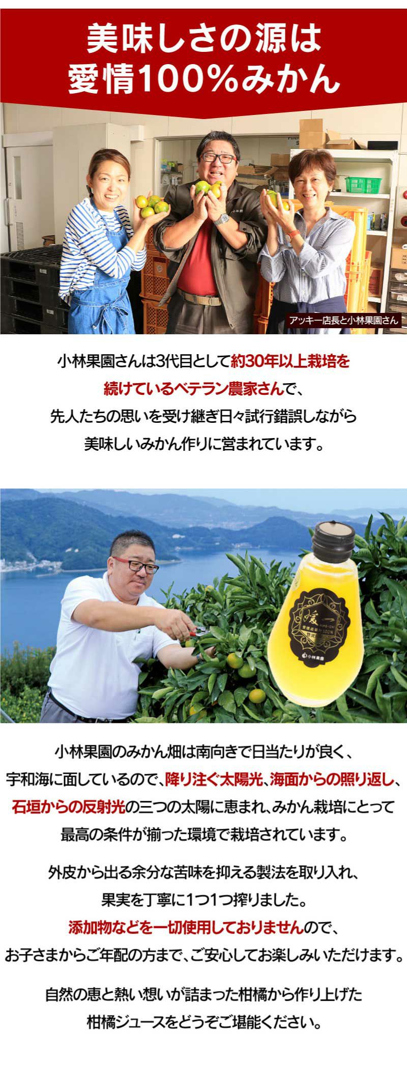 媛一みかんジュース6種贅沢飲み比べセット