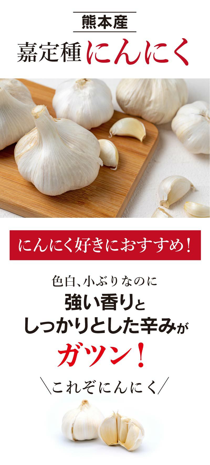 熊本県産 にんにく 1kg（約20玉前後） 嘉定種 送料別 ＜6月下旬より順次出荷＞ 野菜 ニンニク 大蒜 ガーリック 農家直送