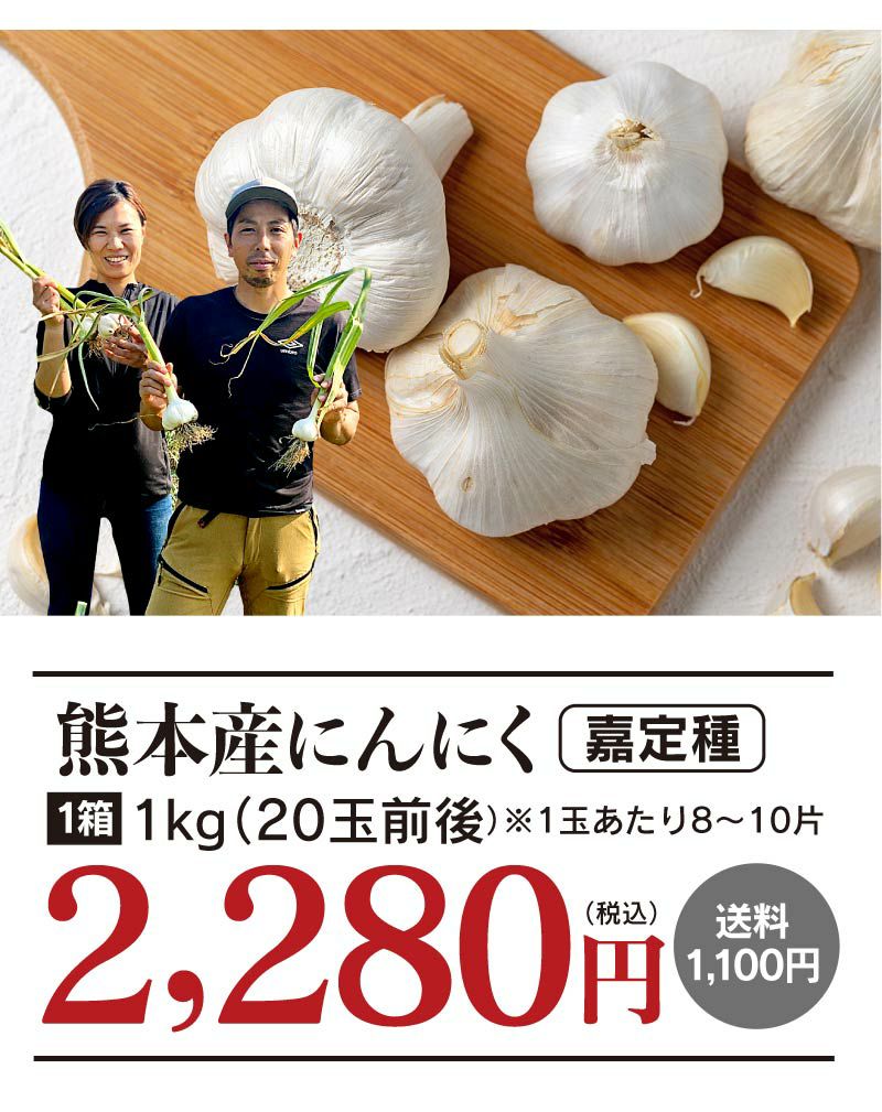 HOT品質保証10kg 三重県産 嘉定種 令和4年度産 ニンニク 中球 にんにく 野菜