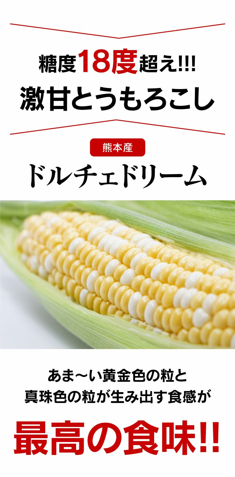 ドルチェドリーム とうもろこし スイートコーン 4kg