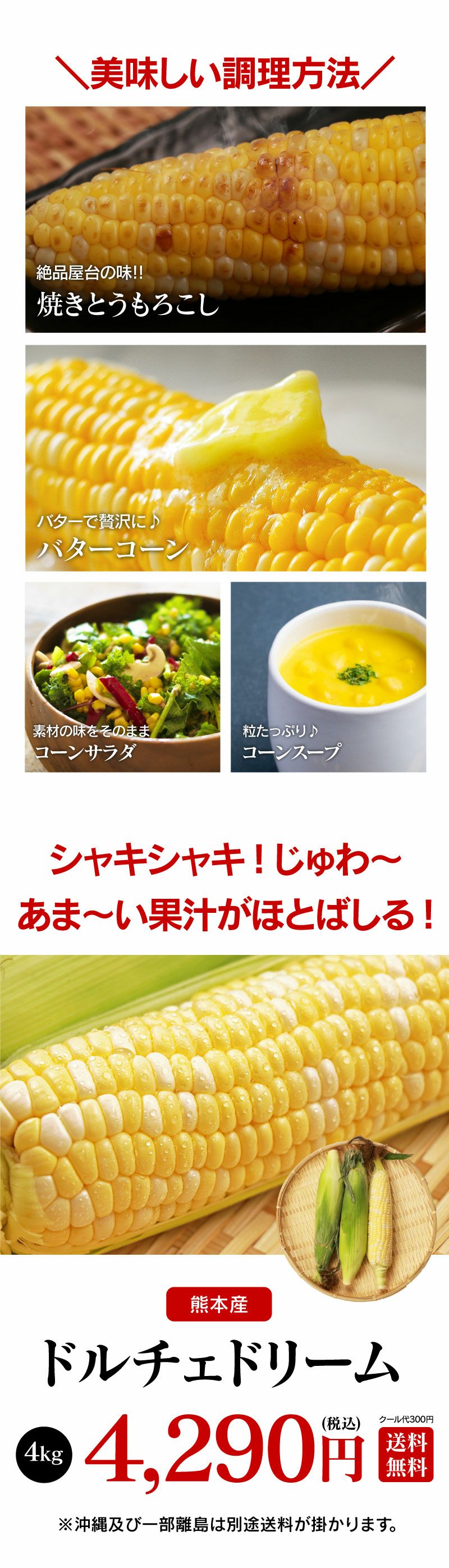 ドルチェドリーム とうもろこし スイートコーン 4kg