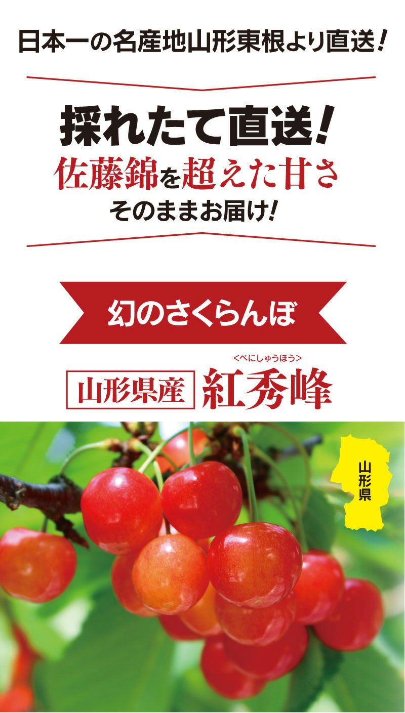 特選 紅秀峰 山形 さくらんぼ 2Lサイズ(35玉) 