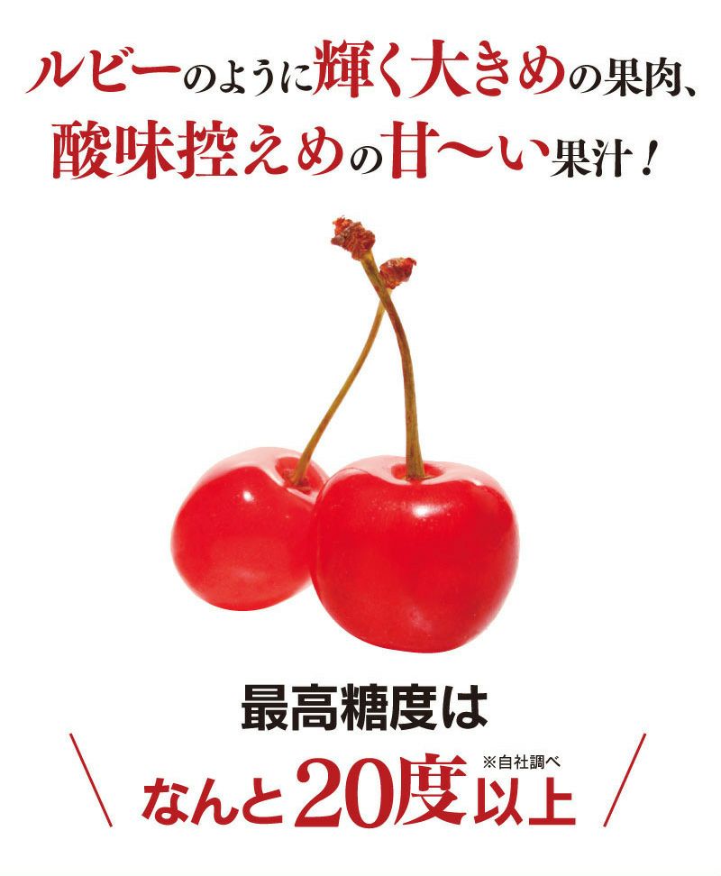 特選 紅秀峰 山形 さくらんぼ 2Lサイズ(35玉) 