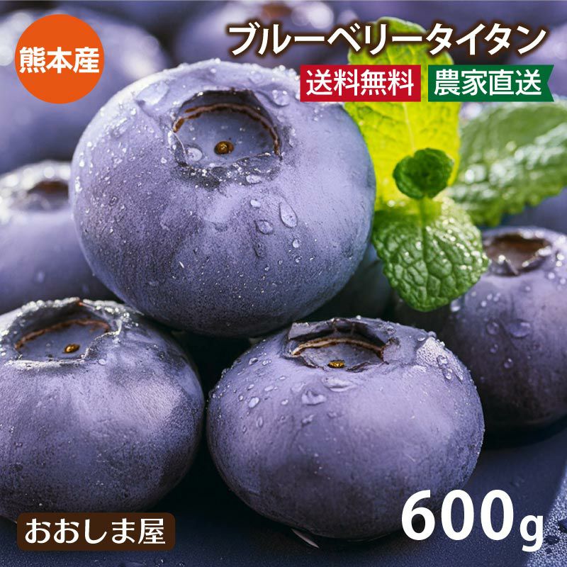 ブルーベリー タイタン