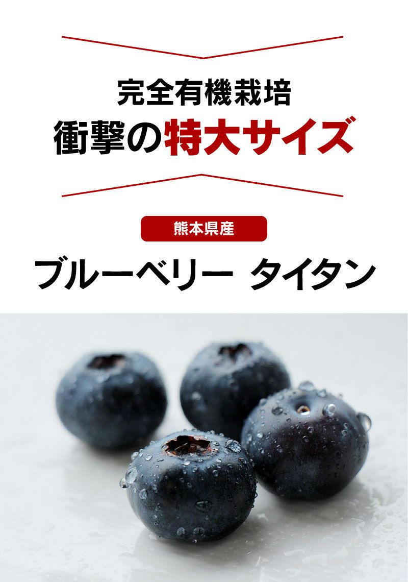 ブルーベリー タイタン