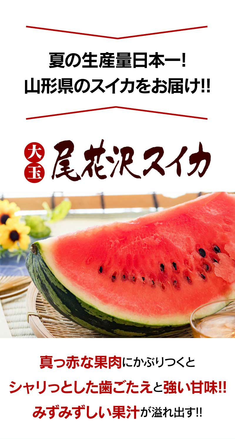 尾花沢大玉スイカ 1玉 約8kg