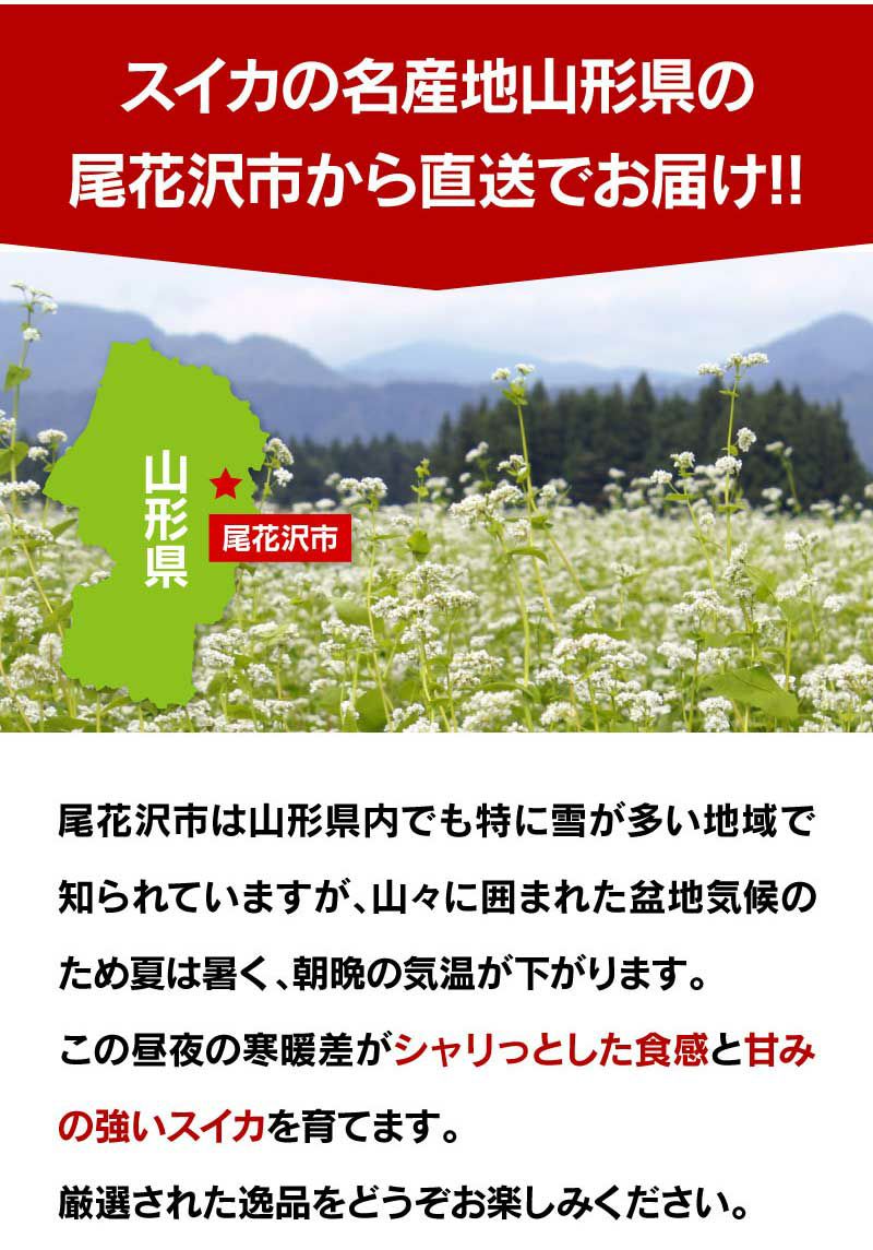 尾花沢大玉スイカ 1玉 約8kg