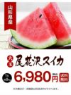 尾花沢大玉スイカ 1玉 約8kg