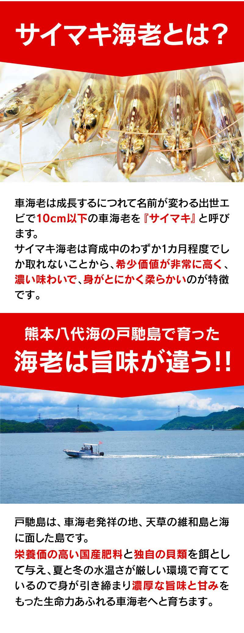 サイマキ海老の味噌漬け