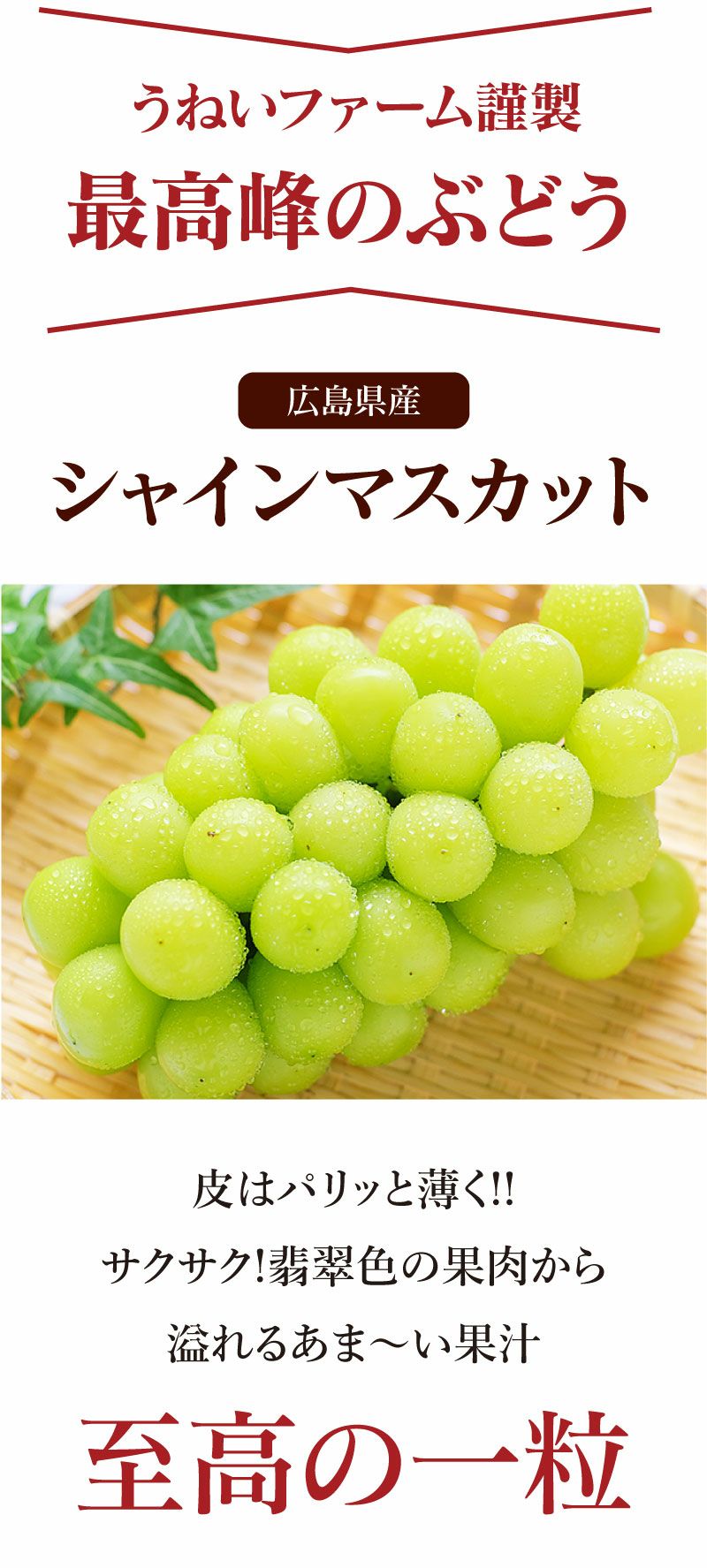 シャインマスカット