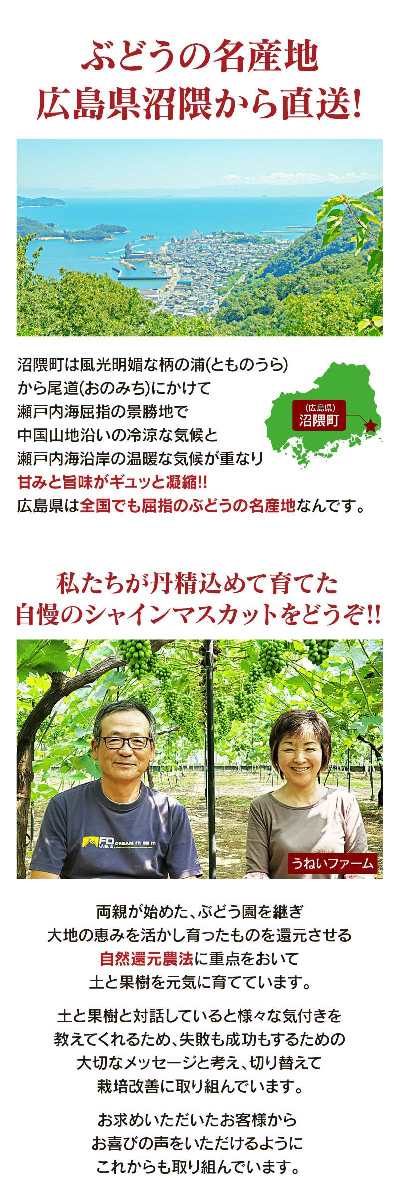 シャインマスカット