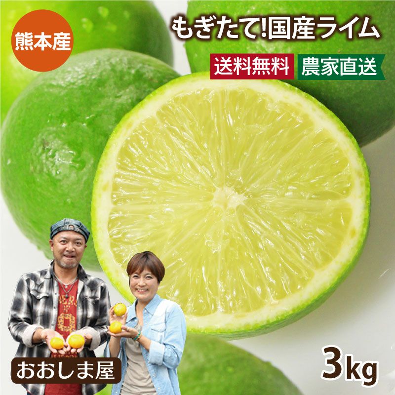 【1月納品】ライムページ 画像ギャラリー】「Ninja ZX-10R KRT EDITION」が新色「ライムグリーン