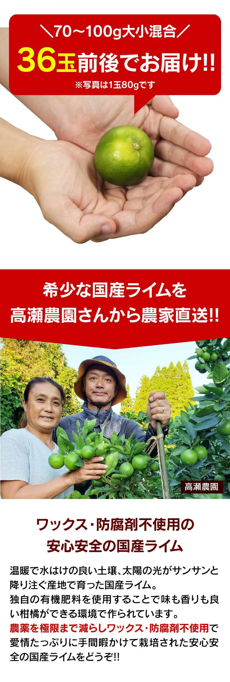 国産ライム