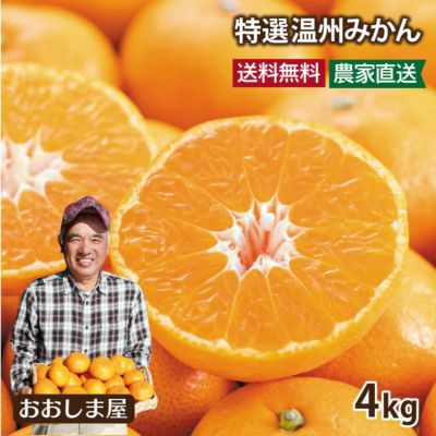 温州みかん | おおしま屋（大嶌屋）