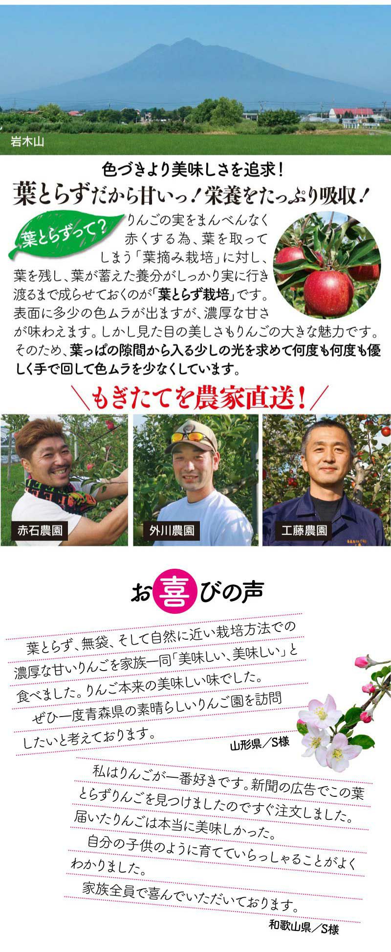 青森 りんご 2種 セット