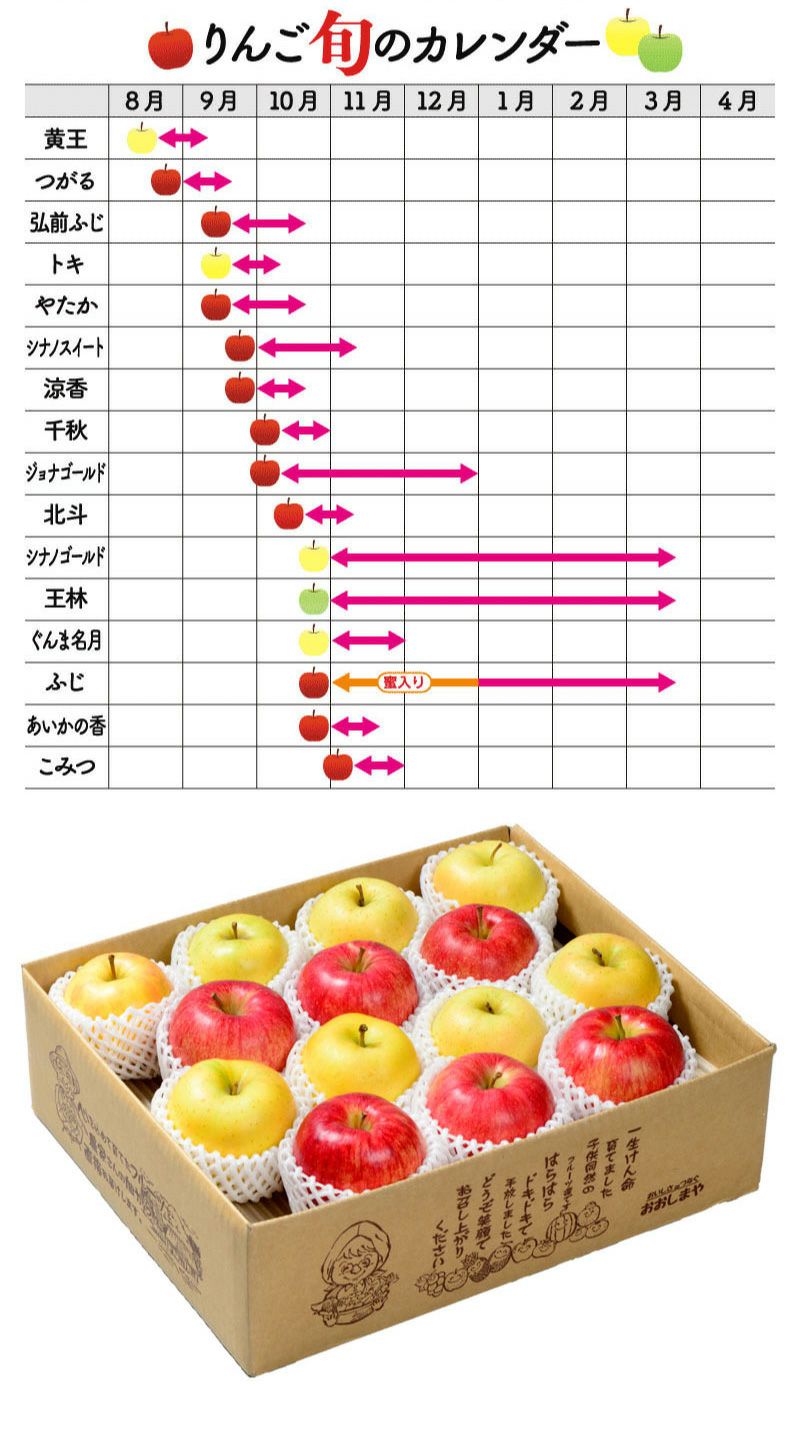 青森 りんご 2種 セット