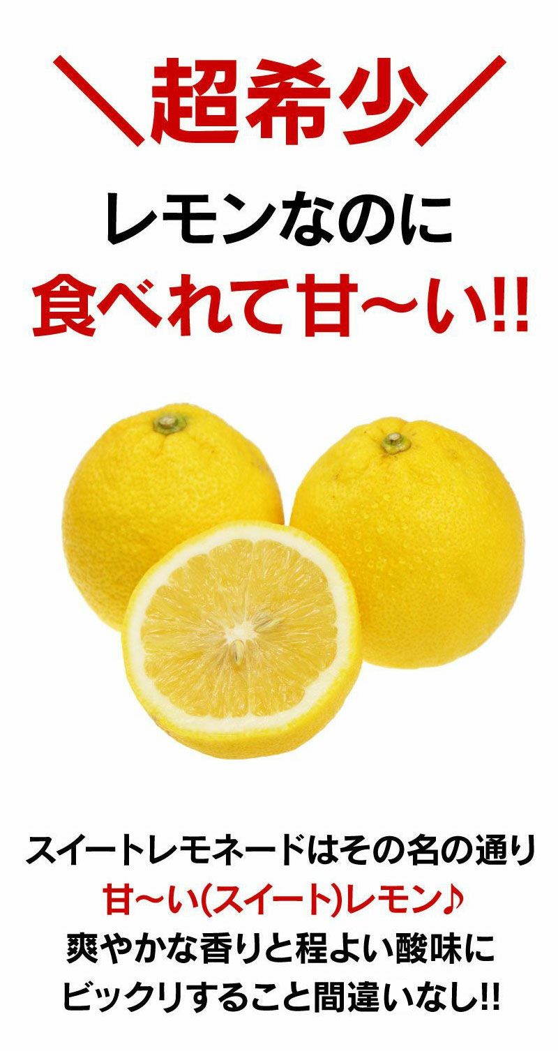 レモン 国産 スイートレモネード 2kg 送料無料 熊本産＜1月上旬より