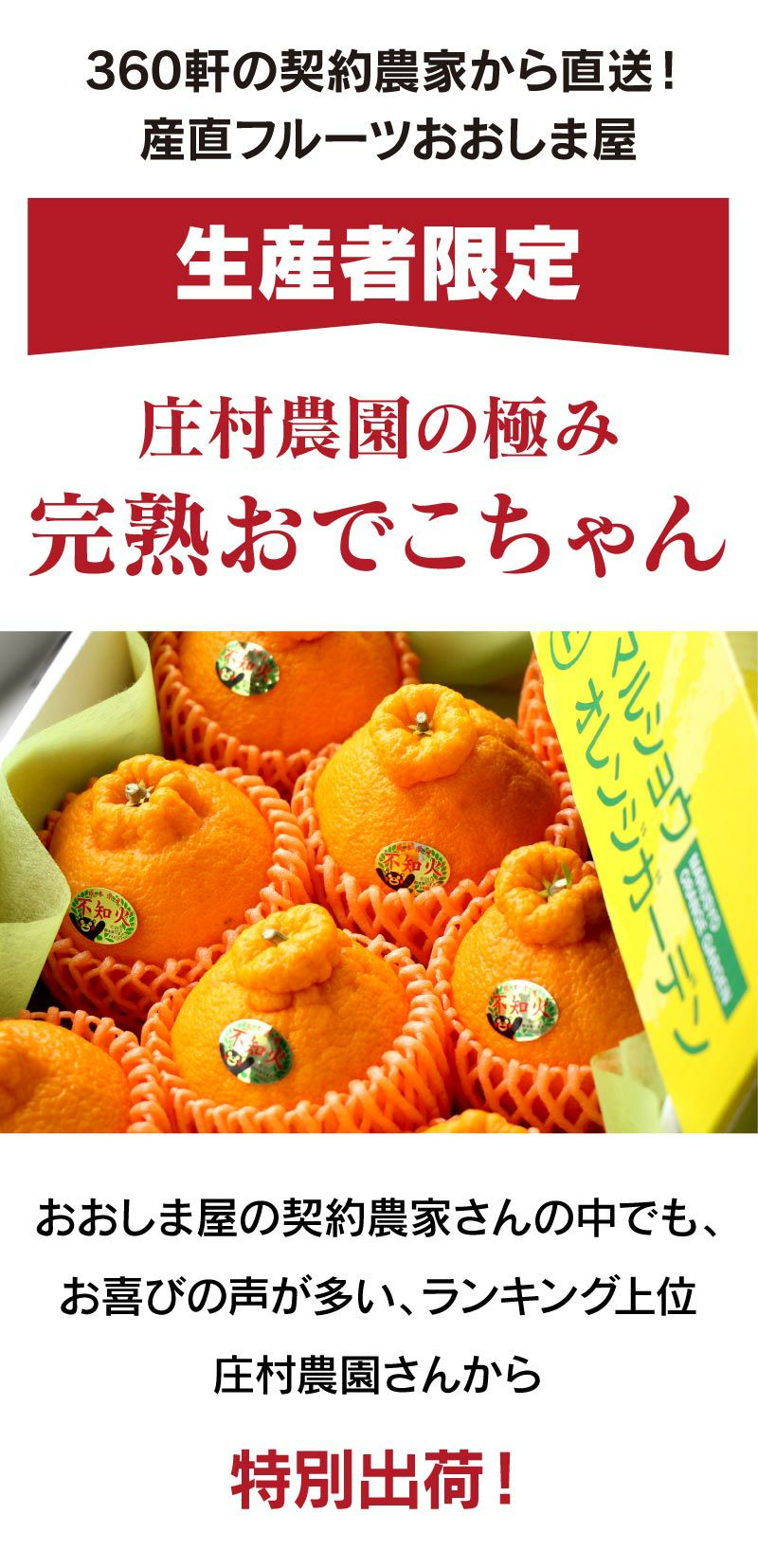 みかん 不知火 完熟 おでこちゃん ＜極み＞ 3kg（8～12玉）2月中旬より