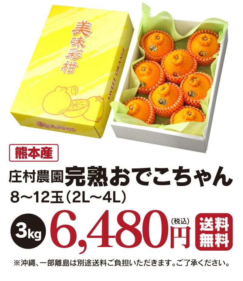 みかん 不知火 完熟 おでこちゃん ＜極み＞ 3kg（8～12玉）2月中旬より