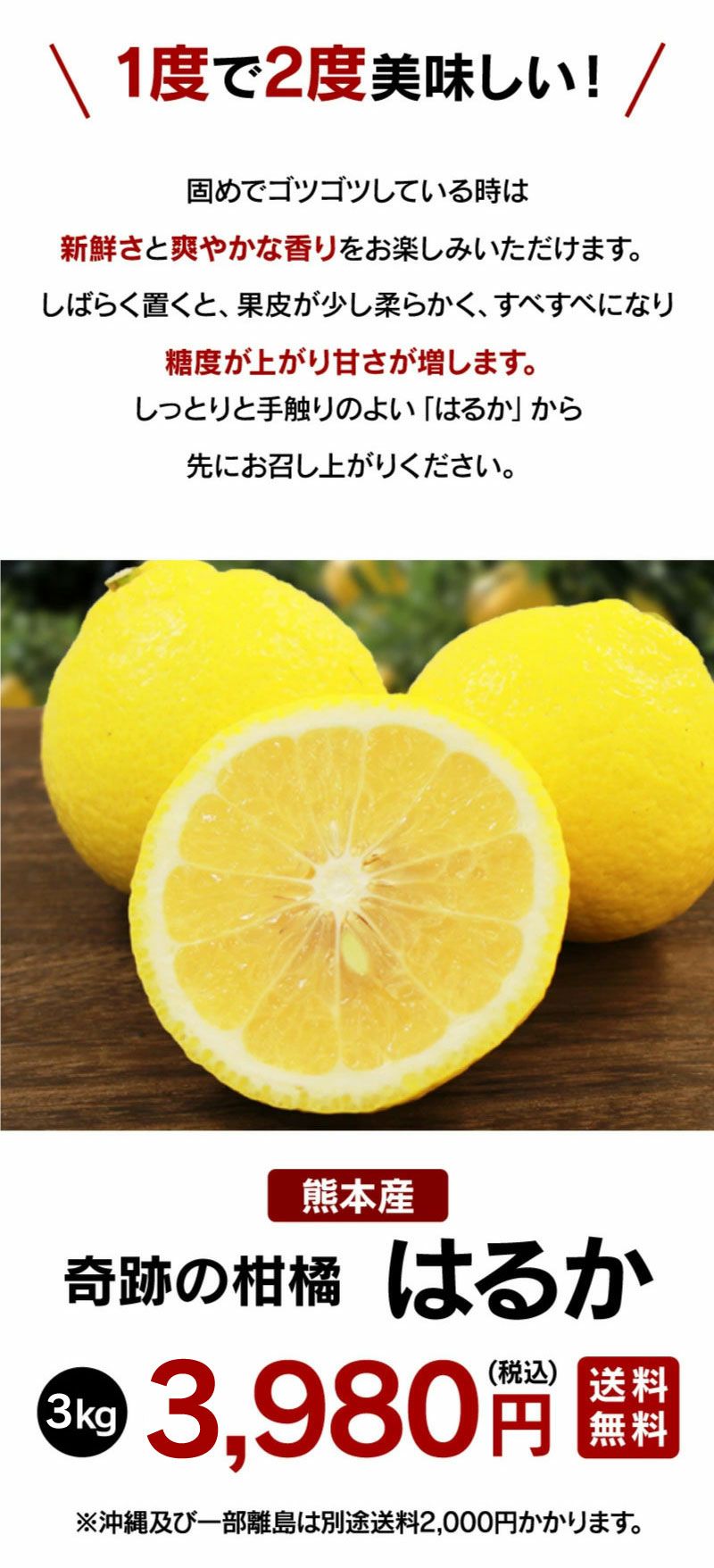 はるか
