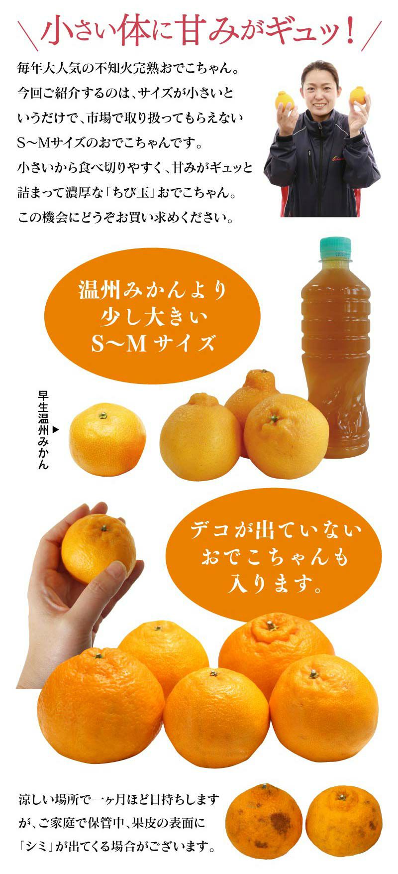 ちび玉 不知火完熟おでこちゃん 4kg 送料無料 大小混合 S-Mサイズ 小玉