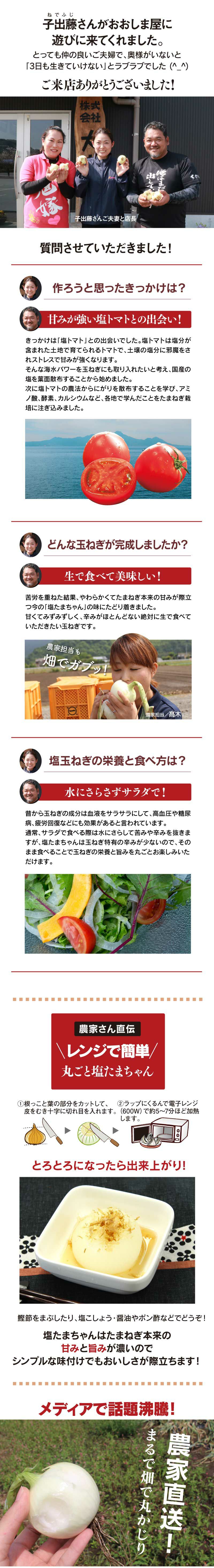 塩たまちゃん 4kg 送料無料 熊本産 子出藤農園の塩たまねぎ 4月下旬