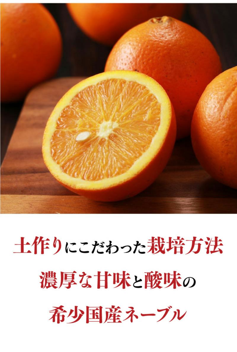 ネーブル