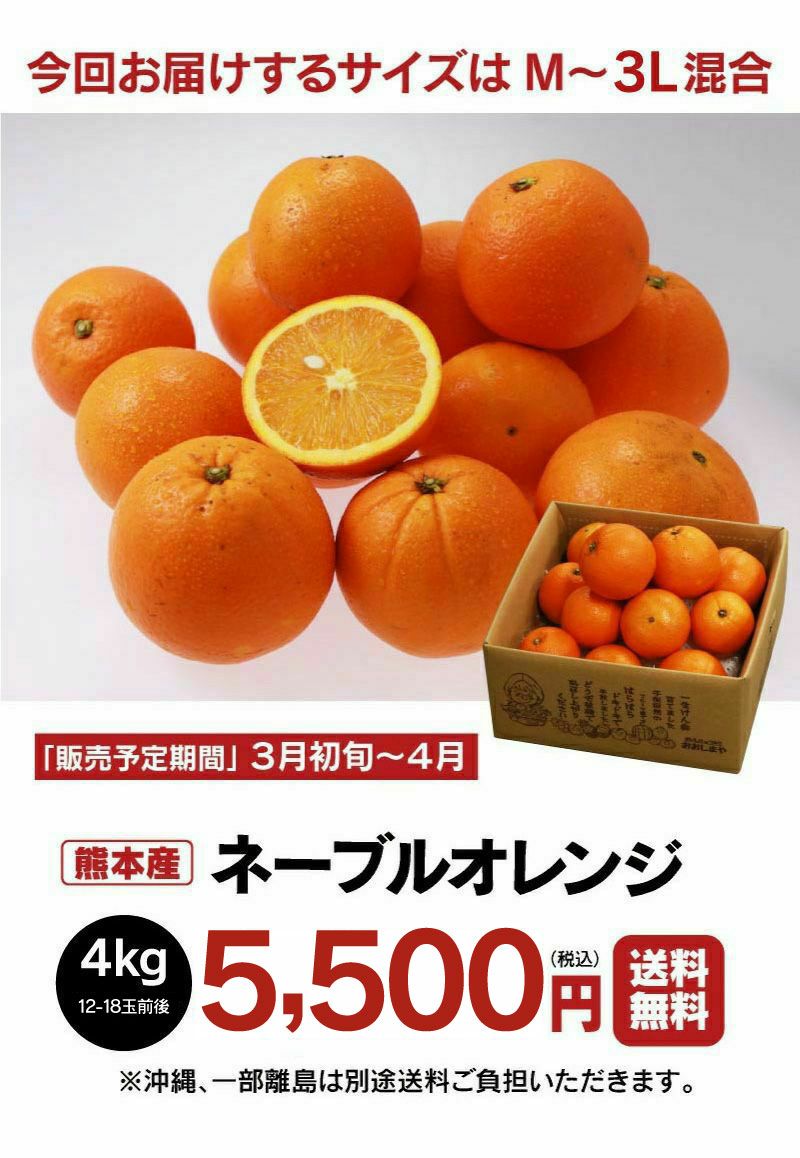 ネーブル