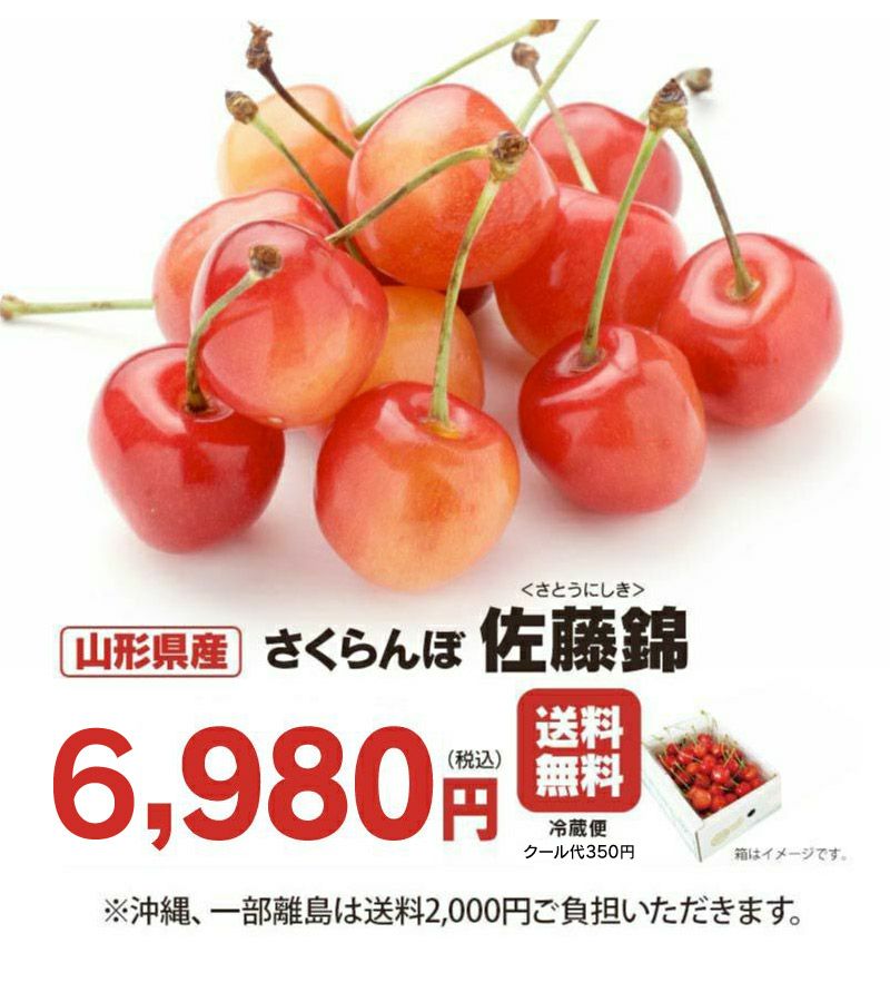 さくらんぼ 山形産 佐藤錦 500g 2Lサイズ 送料無料 クール代別 バラ詰め 家庭用 露地栽培 サクランボ ＜6月中旬出荷＞ 果物 フルーツ  大嶌屋（おおしまや） | おおしま屋（大嶌屋）