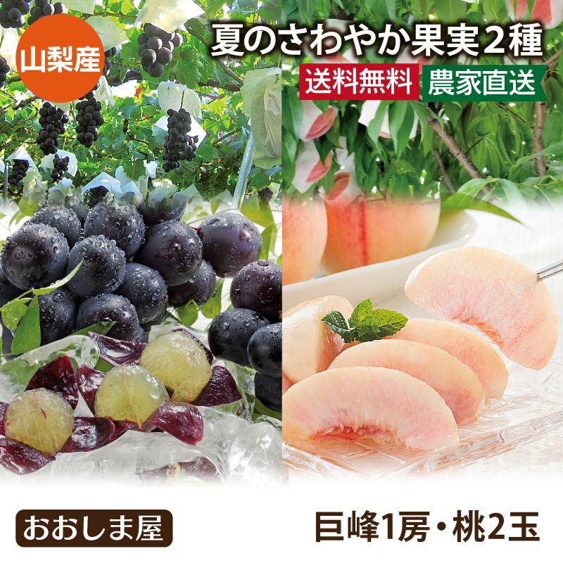 夏のさわやか果実2種