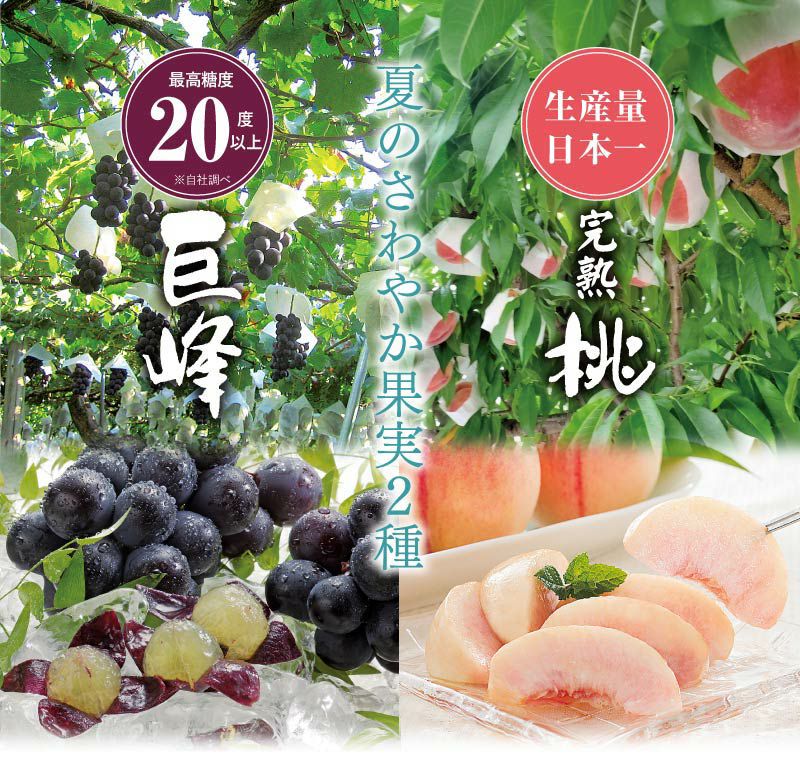 夏のさわやか果実2種 送料無料（クール代別途） 巨峰 1房 桃 2玉 ＜8月