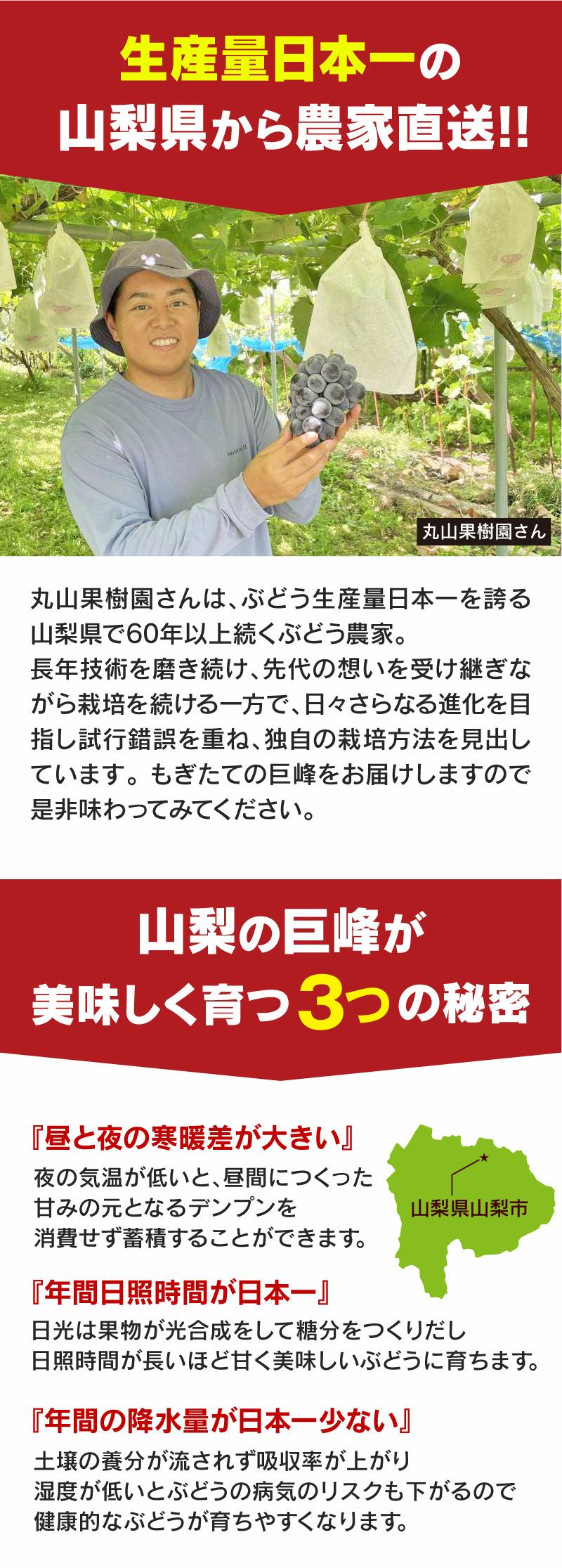 巨峰