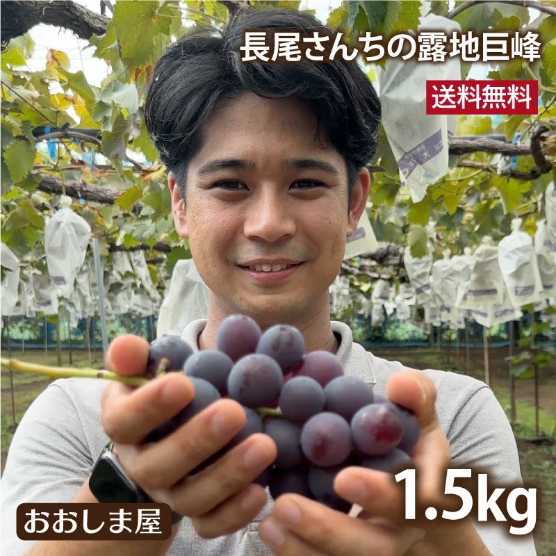 巨峰