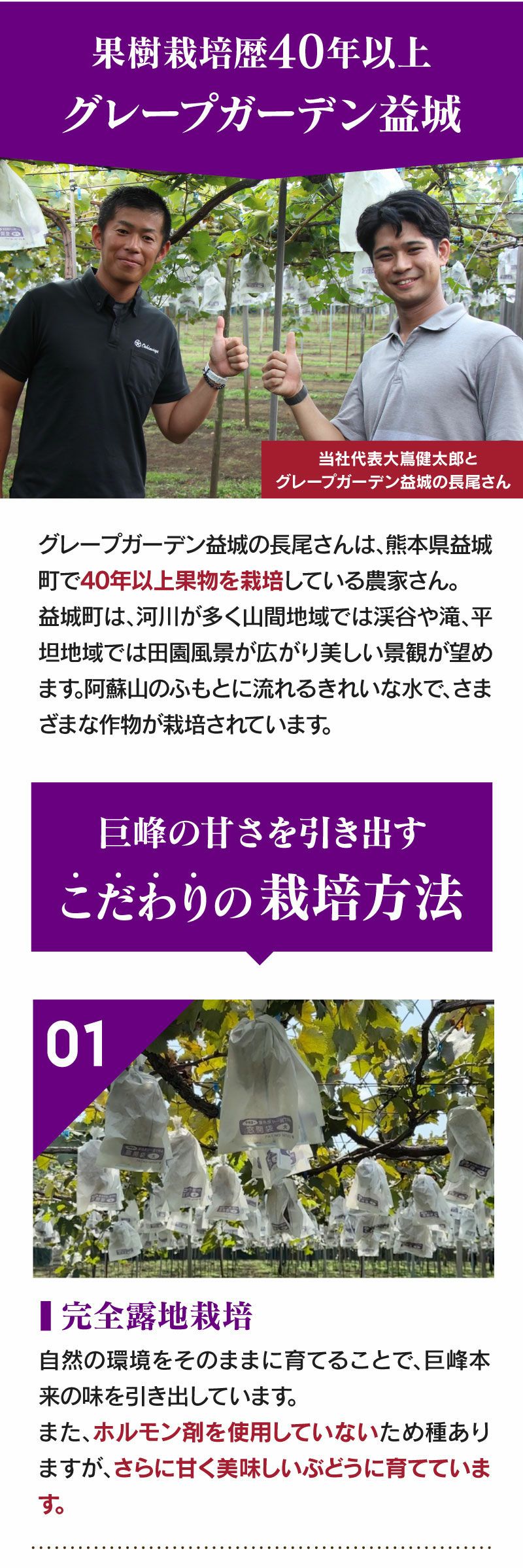 巨峰