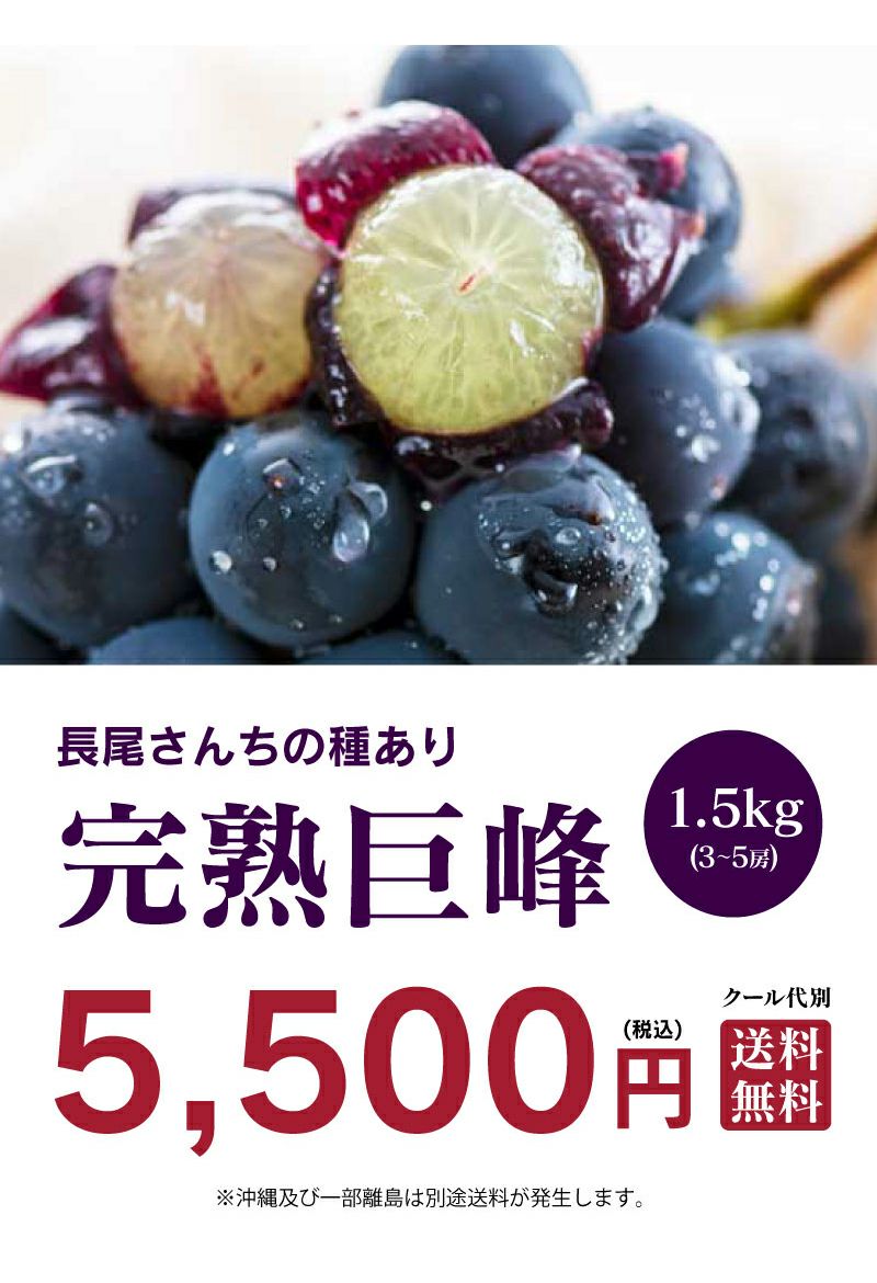 巨峰