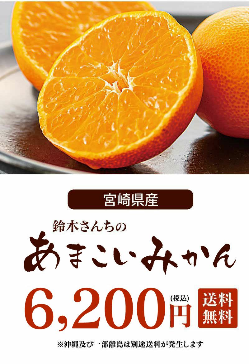 鈴木さんちのあまこいみかん 3kg（35-50玉前後）＜12月上旬より順次出荷＞ 送料無料 ギフト プレゼント 蜜柑 ミカン 柑橘 フルーツ 果物  大嶌屋（おおしまや） | おおしま屋（大嶌屋）