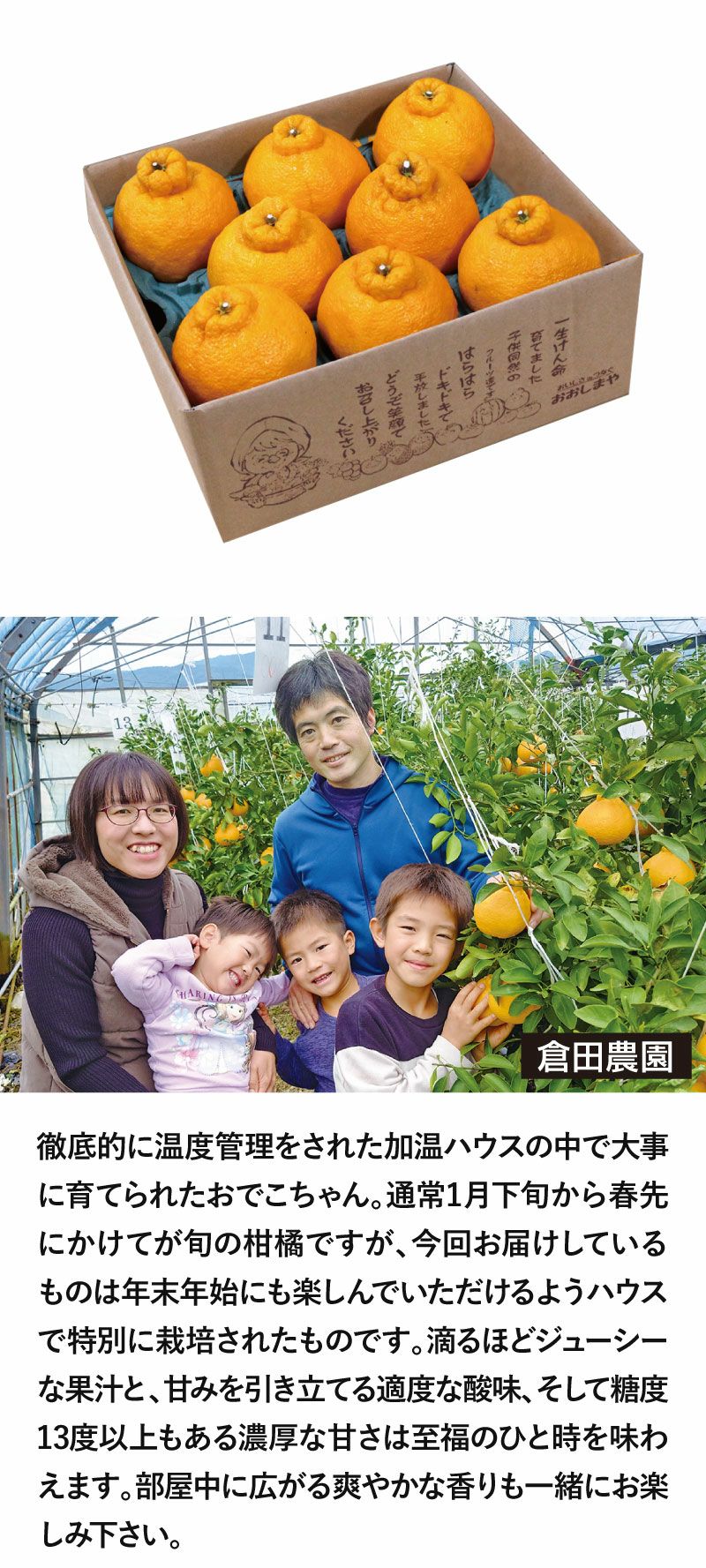 ハウスおでこちゃん