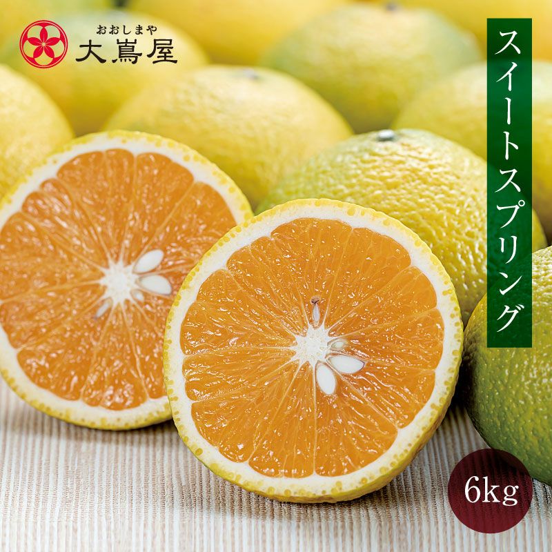 熊本産 スイートスプリング 6kg（約20玉-30玉前後） 送料無料