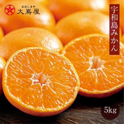温州みかん | おおしま屋（大嶌屋）
