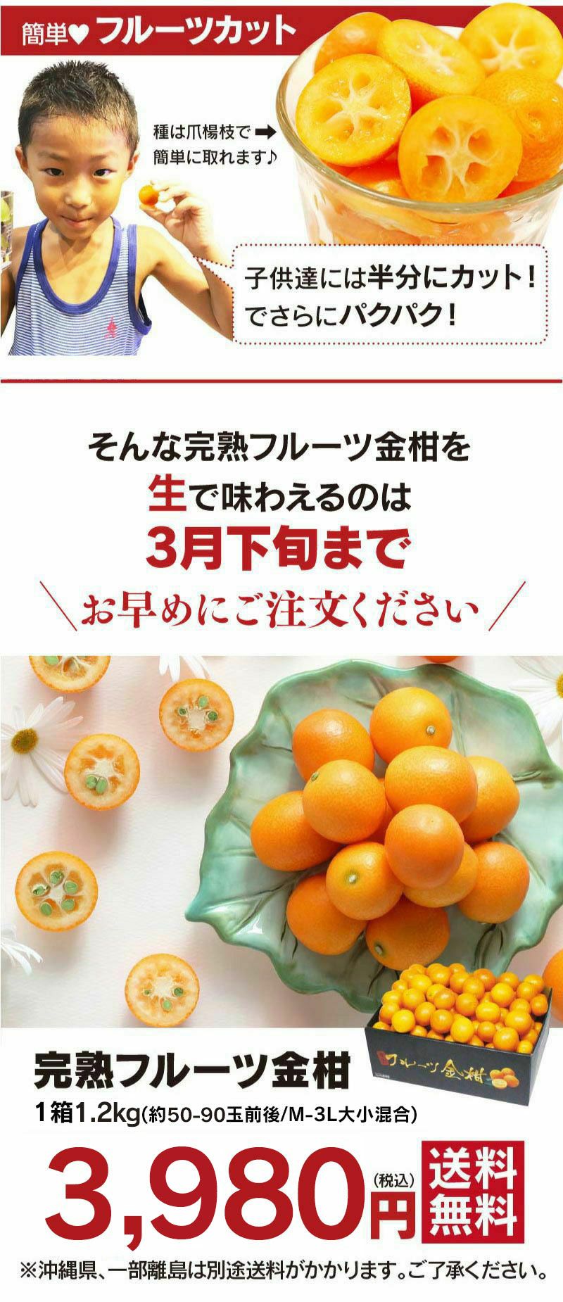 金柑の実 箱に入るだけ - 果物