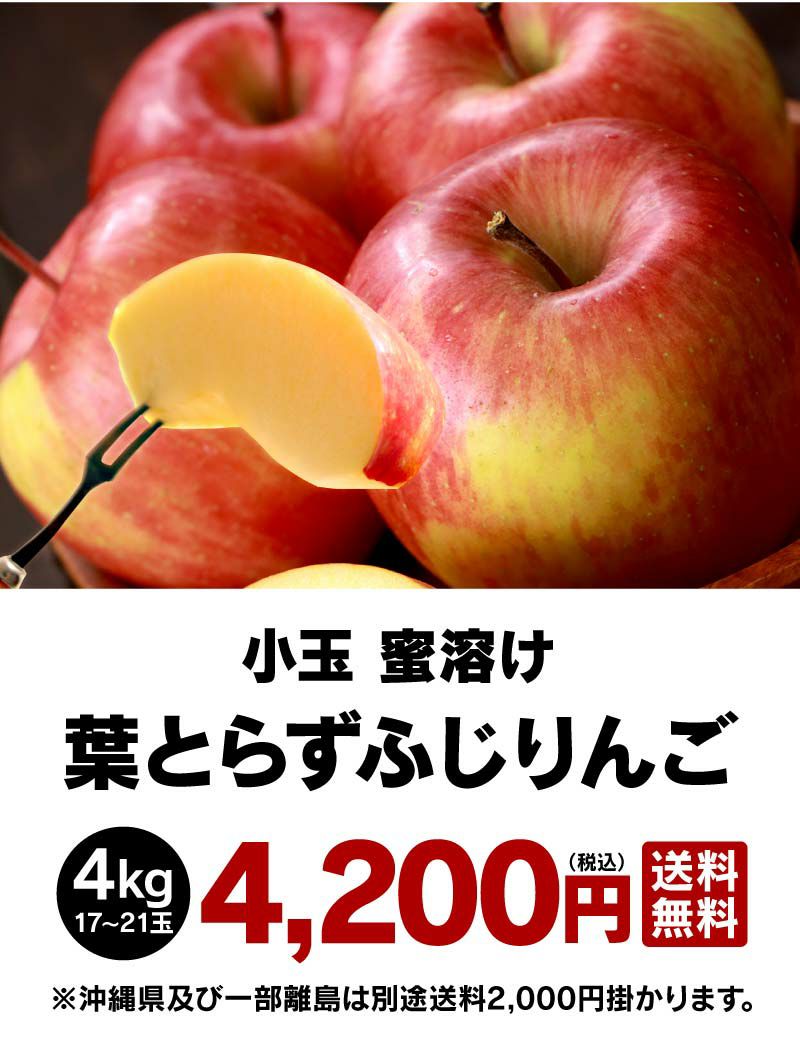 小玉 蜜溶け 青森産 葉とらずふじりんご 4kg（約17玉-21玉） 送料無料 