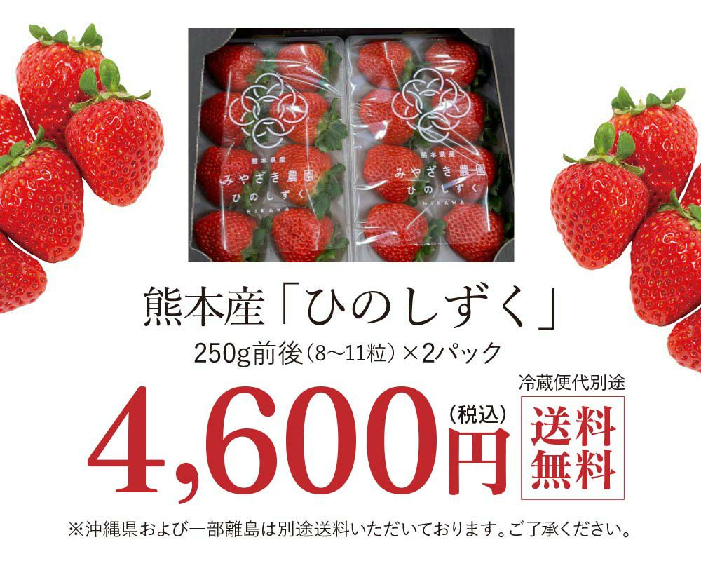 ひのしずく 熊本産 2パック ＜送料無料・クール代別＞ 新品種 農家直送