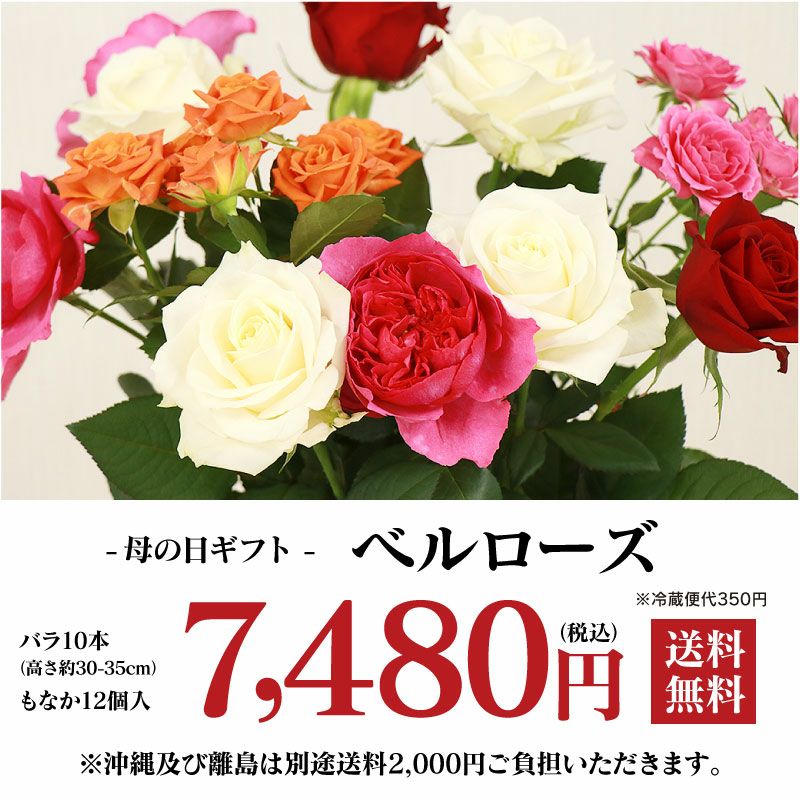 母の日 ベルローズセット 村上バラ園 送料無料 バラ10本×花咲くもなか