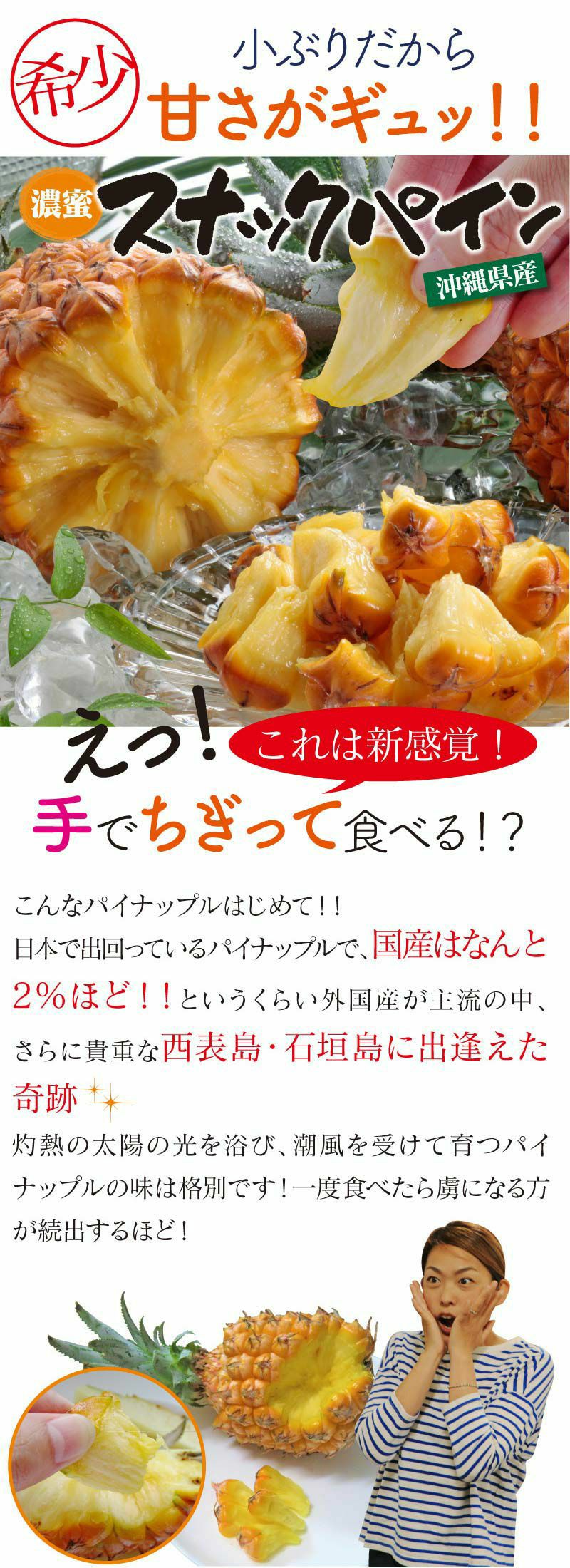 沖縄スナックパイン 1.6kg （約2玉-4玉入り） 送料無料 パイナップル