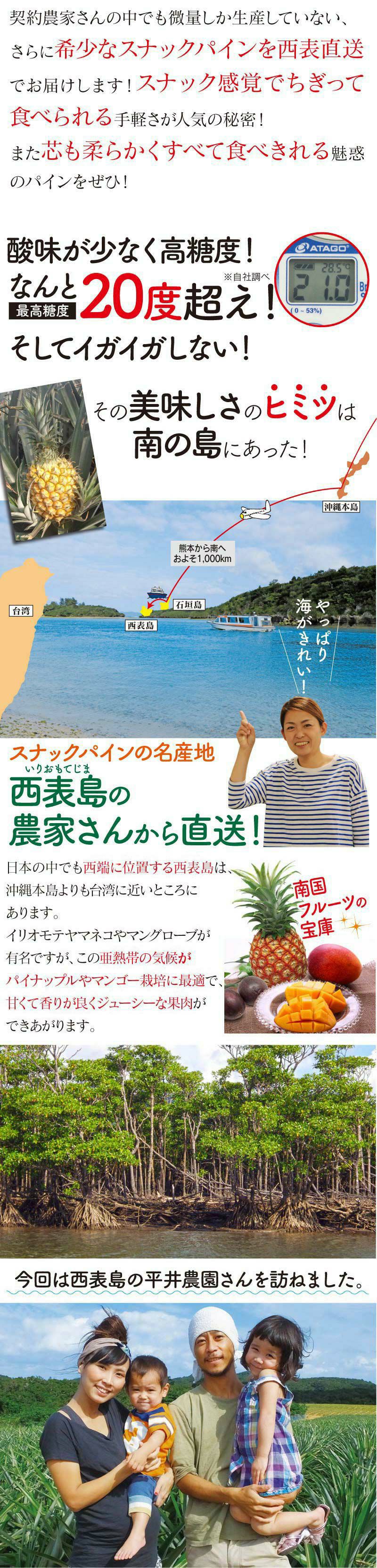 沖縄スナックパイン 1.6kg （約2玉-4玉入り） 送料無料 パイナップル