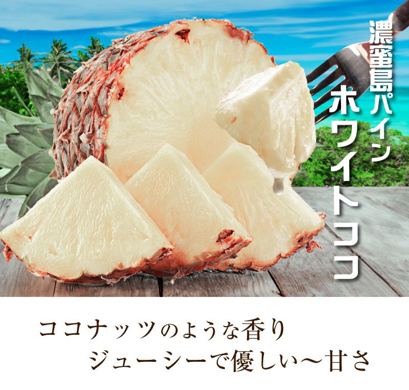 沖縄 パイナップル 島パイン ホワイトココ 2.5kg 送料無料 約2玉～3玉入り 農家直送 ＜6月中旬より順次出荷＞  マツコの知らない世界で紹介された新品種パイン フルーツ 果物 おおしまや | おおしま屋（大嶌屋）