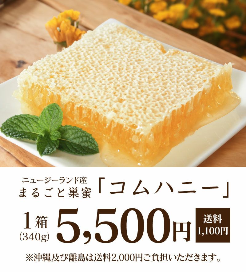 はちみつ ハチミツ 無添加食品 産コムハニ コムハニー)