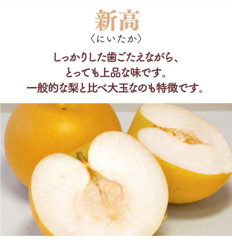 完熟 新高梨 2kg前後（3-4玉）送料無料 ＜9月下旬より順次出荷＞ 赤梨