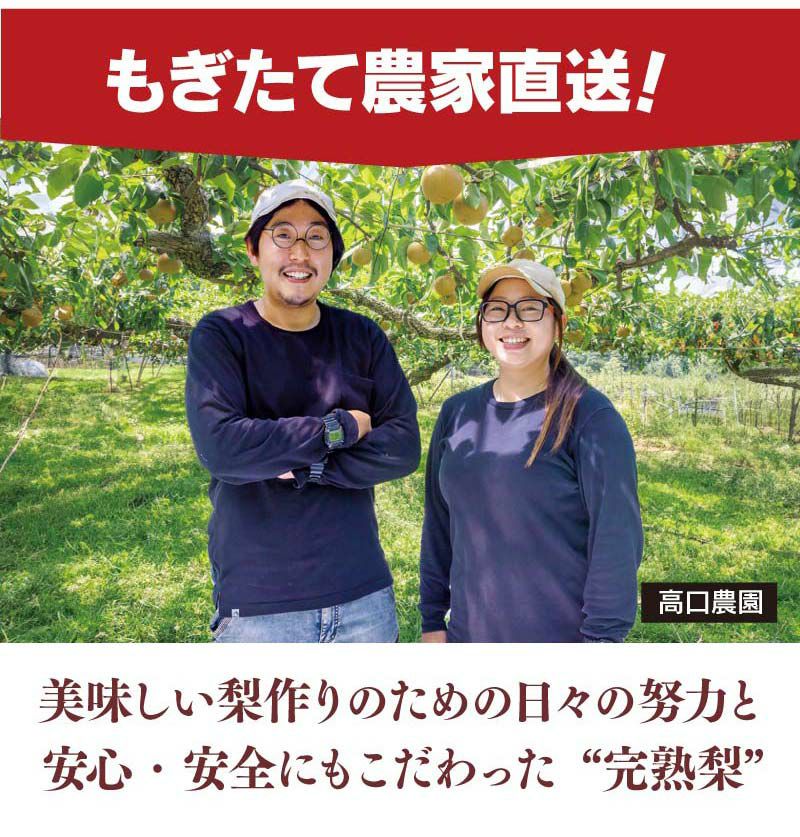 新鮮志賀高原ブルーベリー 2kg入り 39724-2ce.jpg
